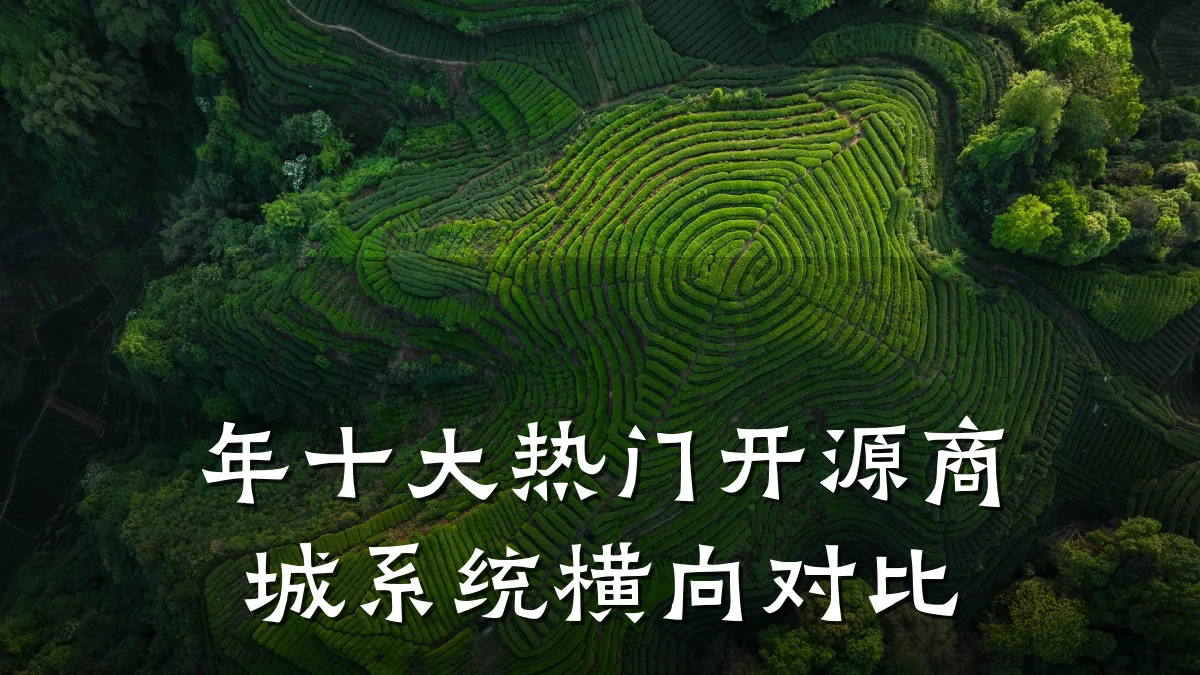 年十大热门开源商城系统横向对比