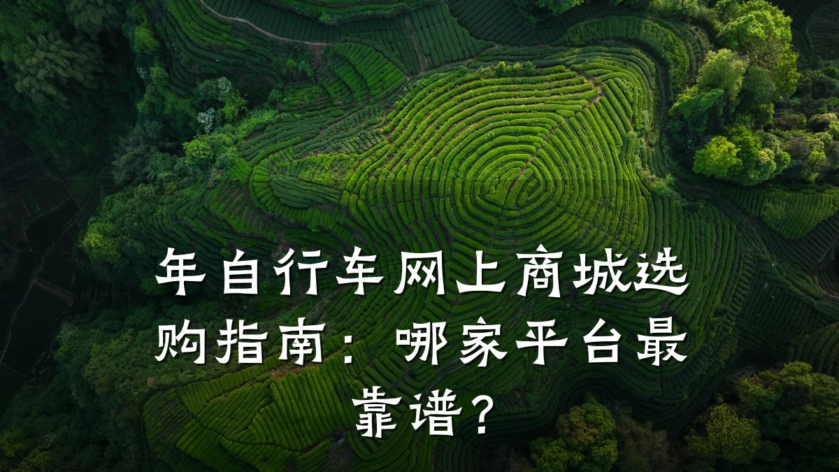 年自行车网上商城选购指南：哪家平台最靠谱？