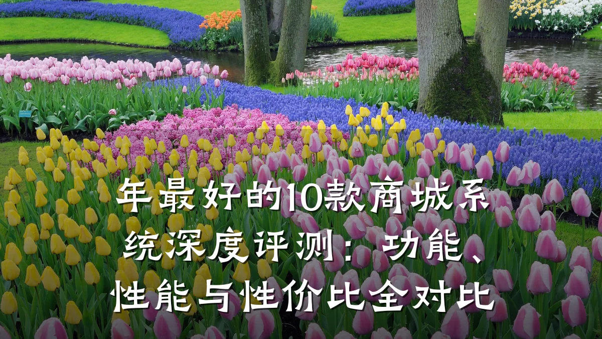 年最好的10款商城系统深度评测:功能、性能与性价比全对比