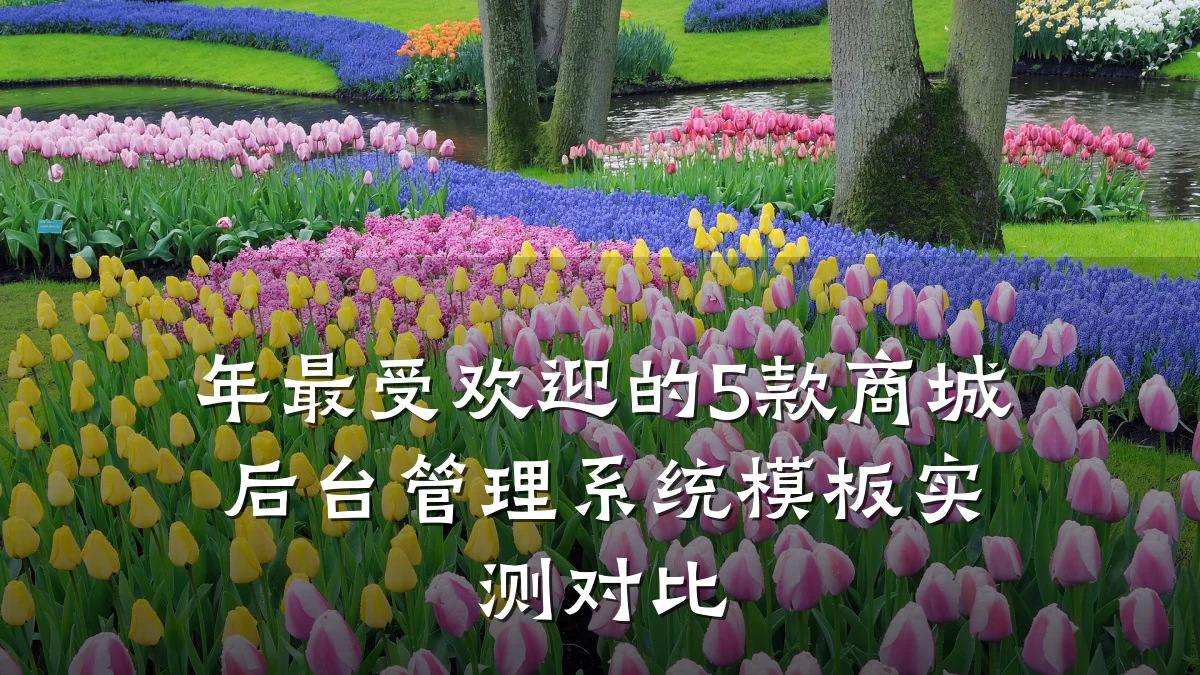 年最受欢迎的5款商城后台管理系统模板实测对比