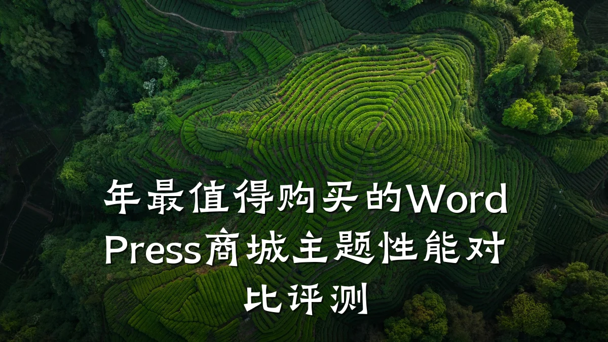 年最值得购买的WordPress商城主题性能对比评测