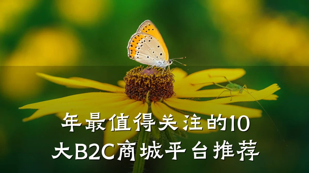 年最值得关注的10大B2C商城平台推荐