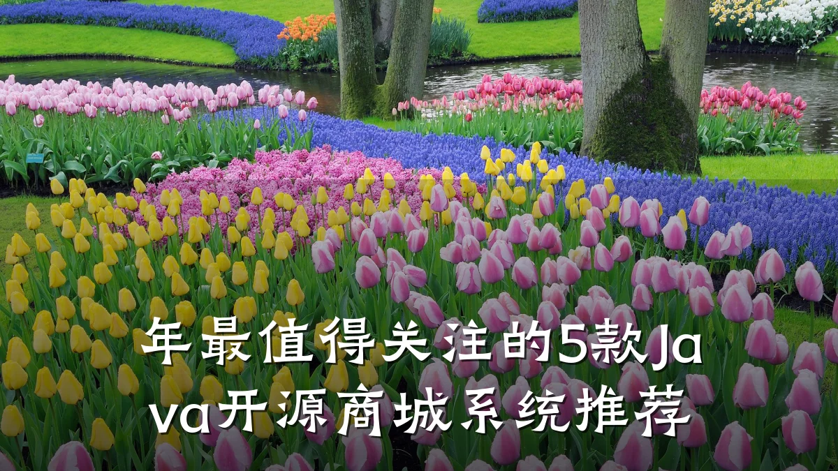 年最值得关注的5款Java开源商城系统推荐