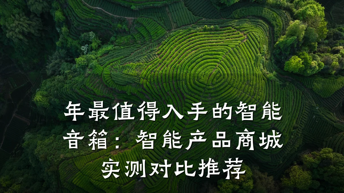 年最值得入手的智能音箱:智能产品商城实测对比推荐