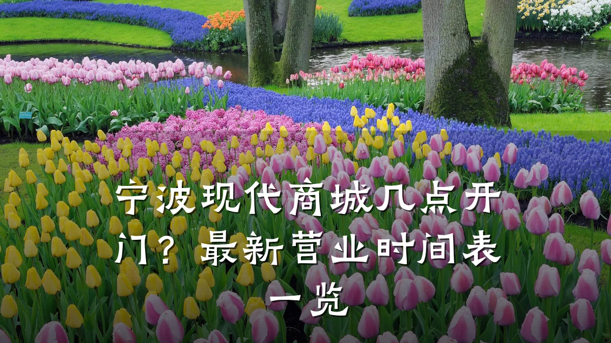 宁波现代商城几点开门?最新营业时间表一览