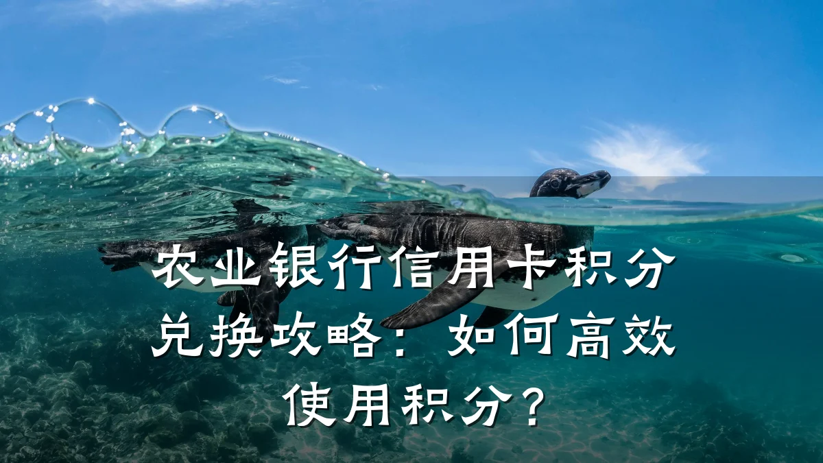 农业银行信用卡积分兑换攻略：如何高效使用积分？