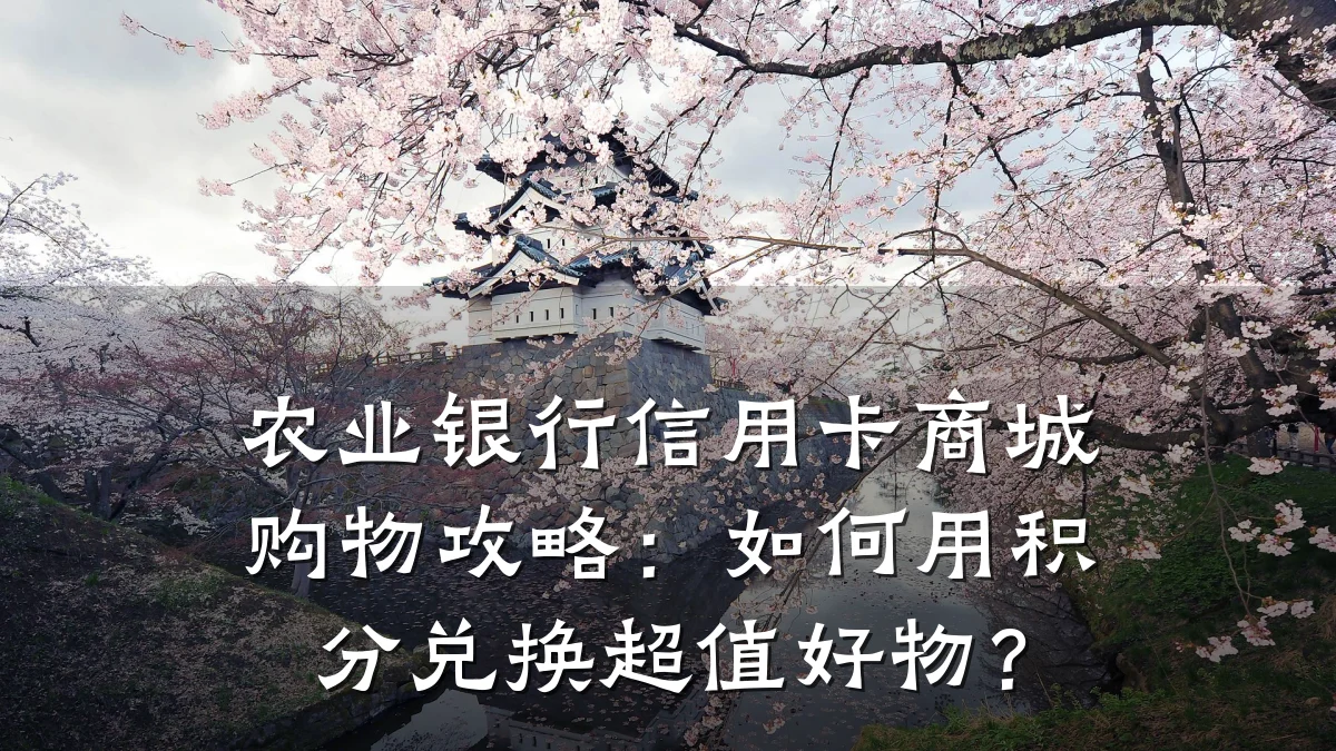 农业银行信用卡商城购物攻略:如何用积分兑换超值好物?