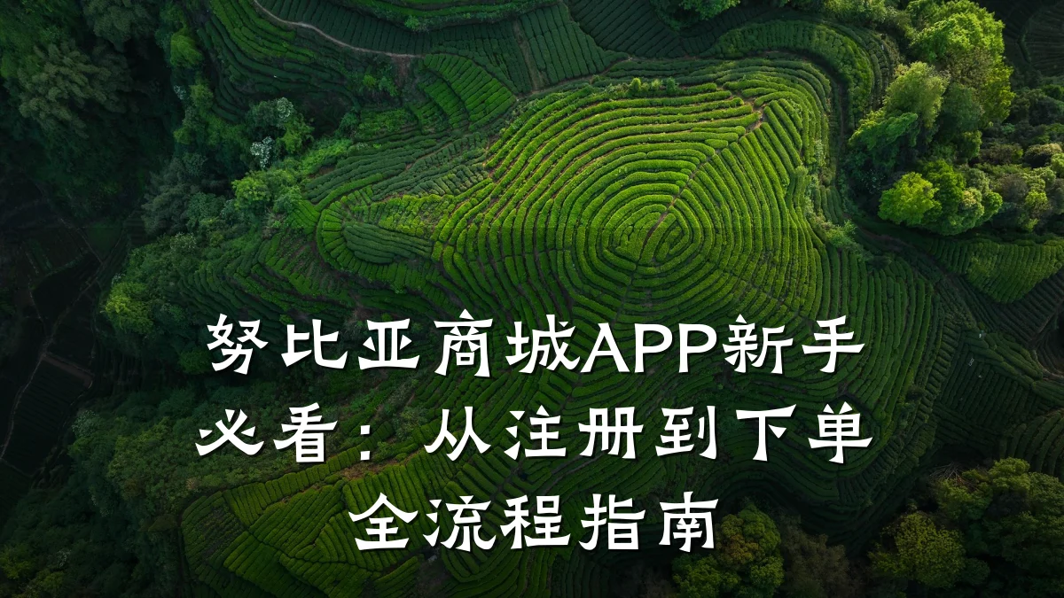 努比亚商城APP新手必看：从注册到下单全流程指南