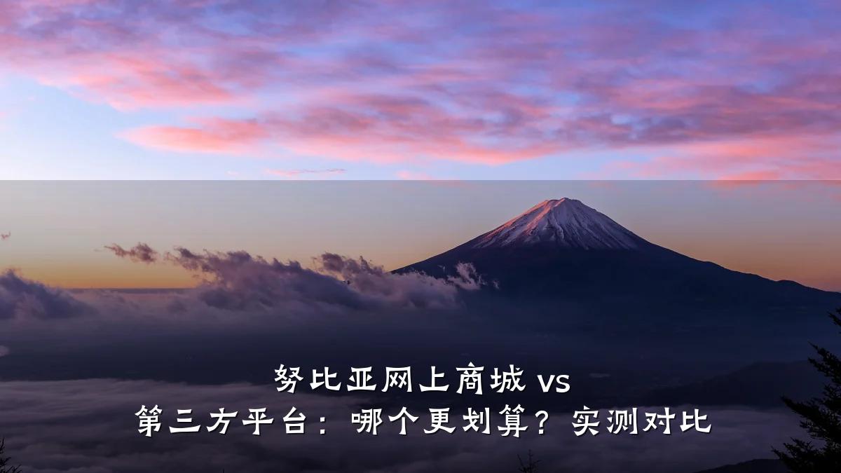 努比亚网上商城 vs 第三方平台：哪个更划算？实测对比