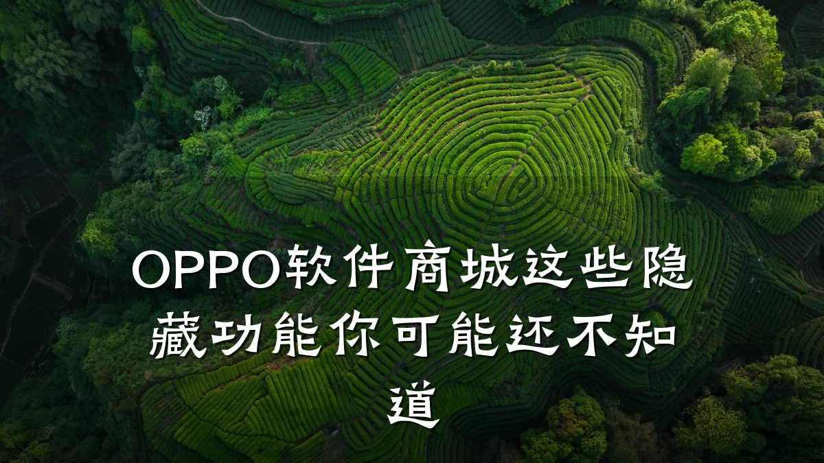 OPPO软件商城这些隐藏功能你可能还不知道