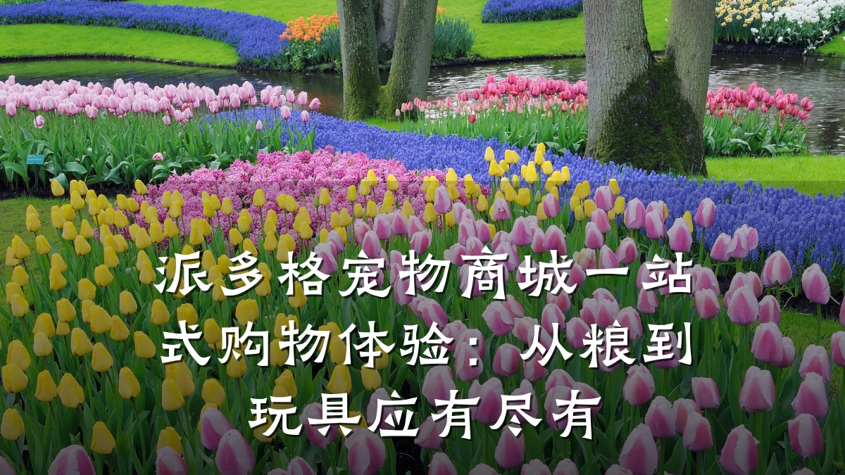 派多格宠物商城一站式购物体验:从粮到玩具应有尽有