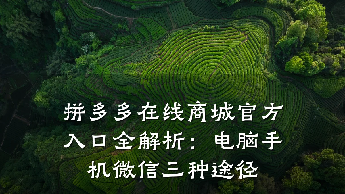 拼多多在线商城官方入口全解析：电脑手机微信三种途径
