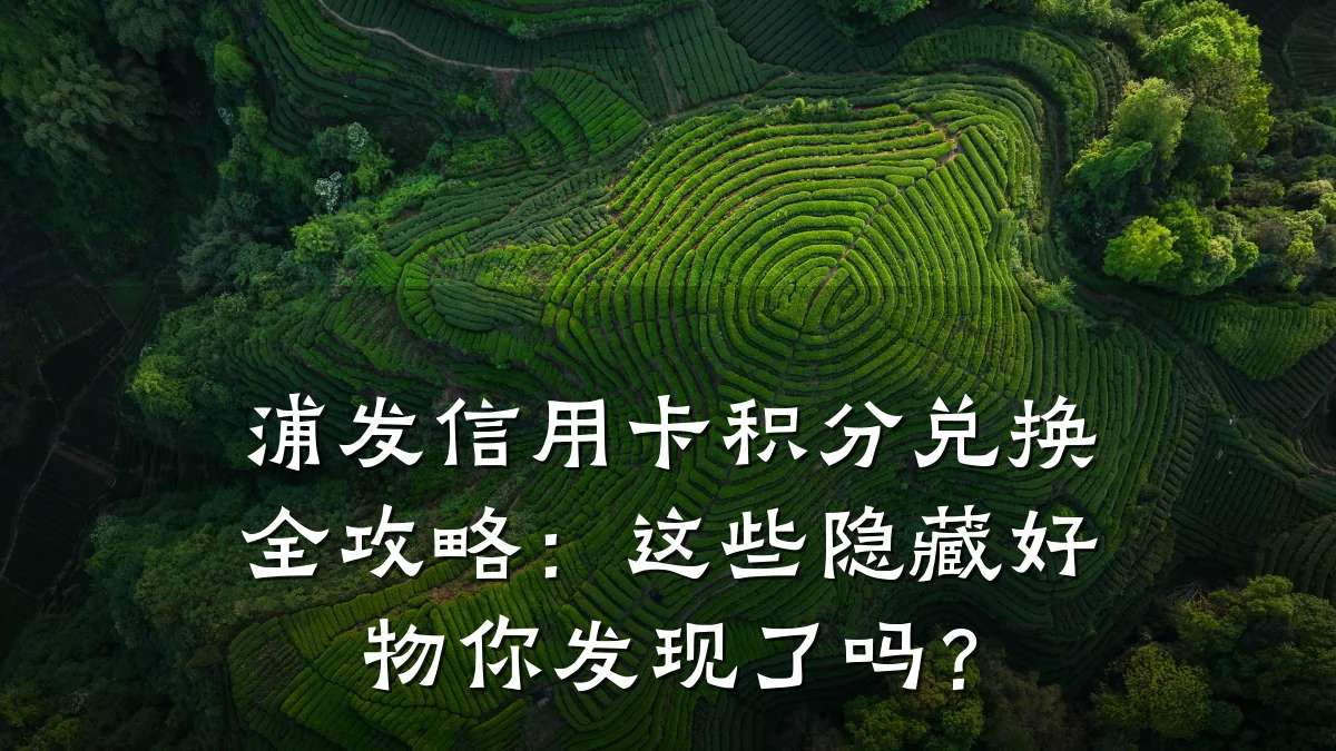 浦发信用卡积分兑换全攻略:这些隐藏好物你发现了吗?