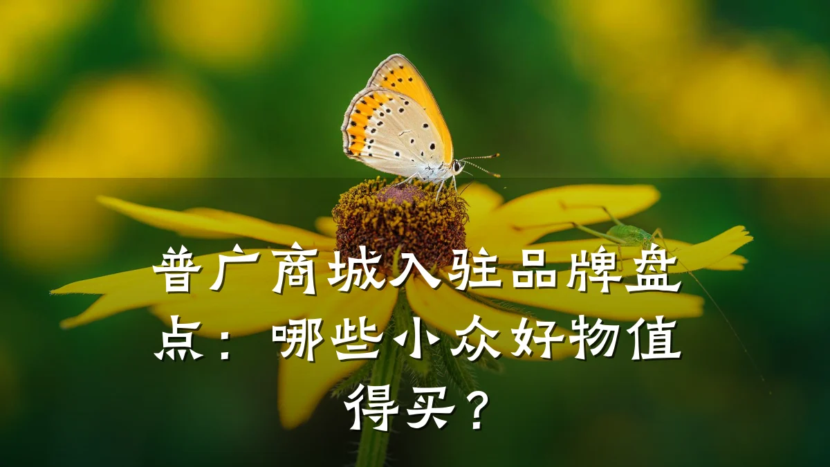 普广商城入驻品牌盘点:哪些小众好物值得买?