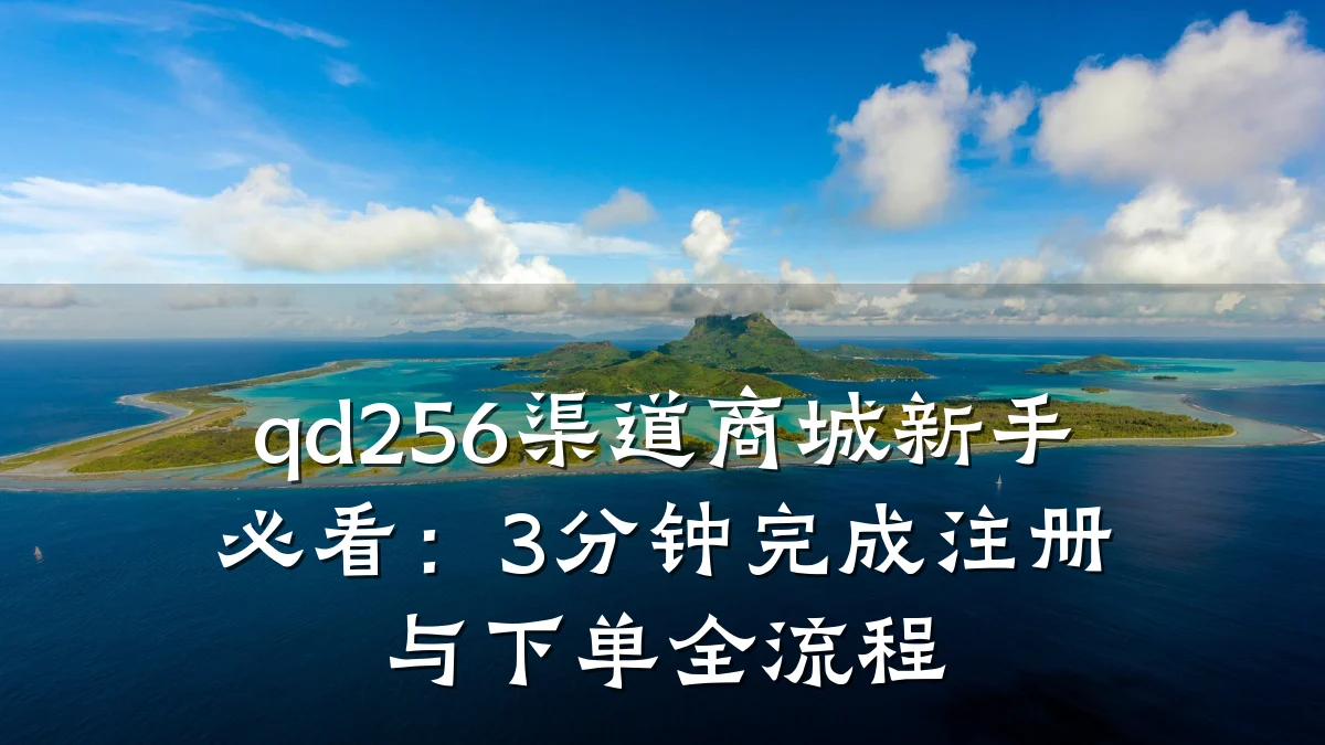 qd256渠道商城新手必看:3分钟完成注册与下单全流程