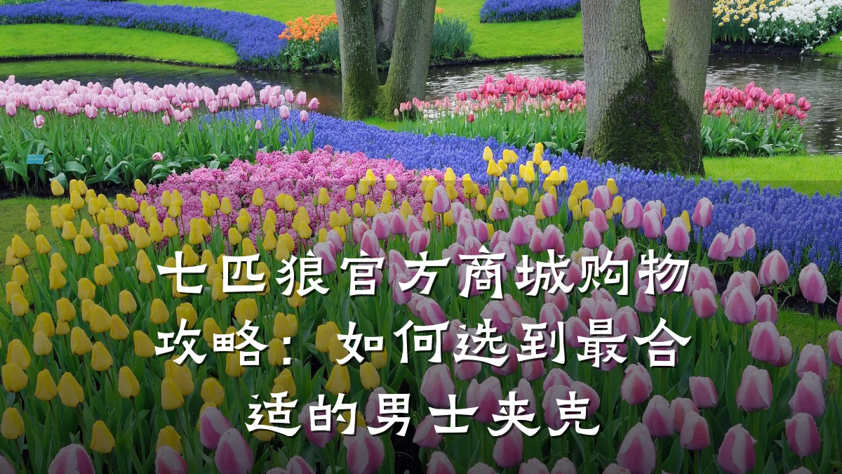 七匹狼官方商城购物攻略：如何选到最合适的男士夹克