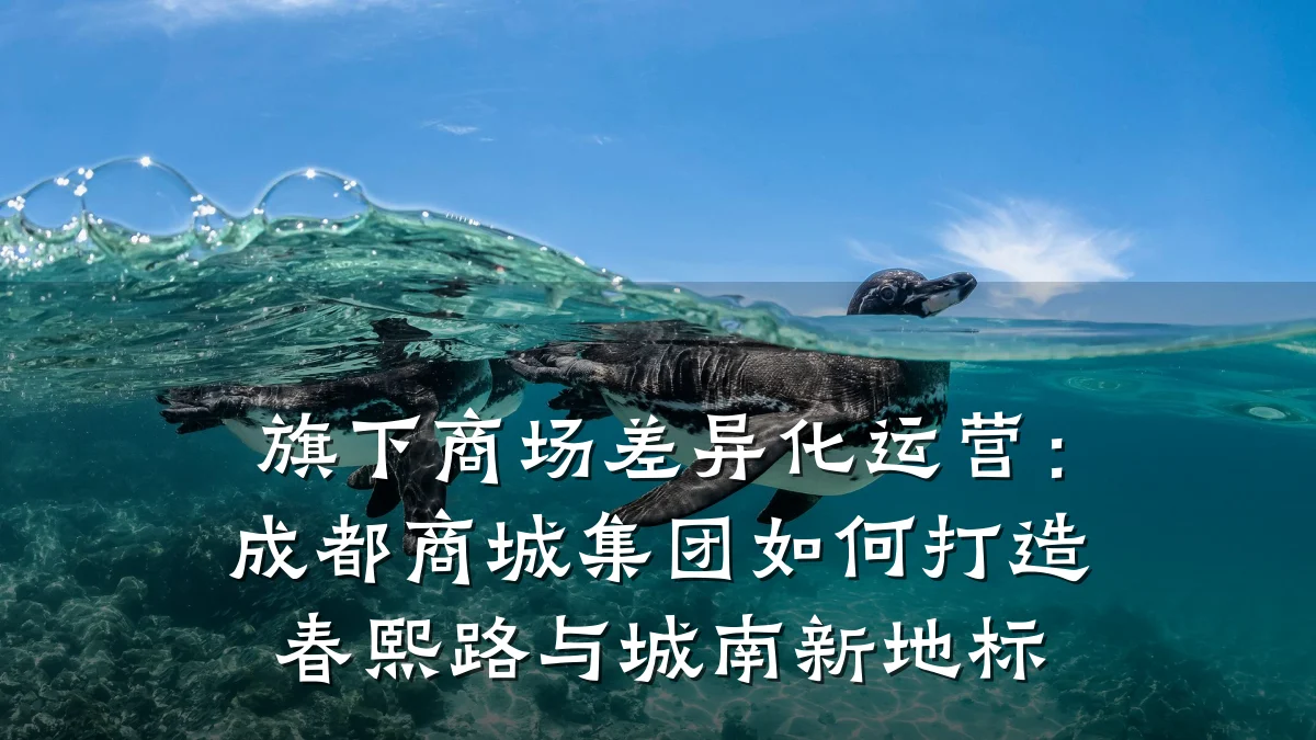 旗下商场差异化运营:成都商城集团如何打造春熙路与城南新地标