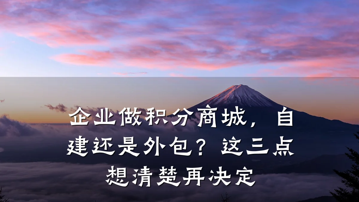 企业做积分商城，自建还是外包？这三点想清楚再决定
