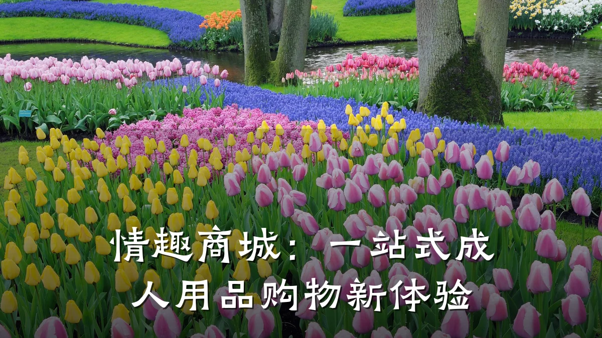 情趣商城:一站式成人用品购物新体验