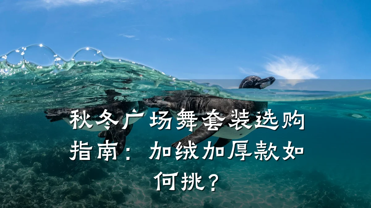 秋冬广场舞套装选购指南:加绒加厚款如何挑?
