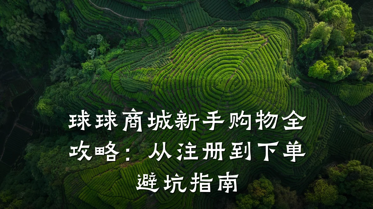 球球商城新手购物全攻略:从注册到下单避坑指南