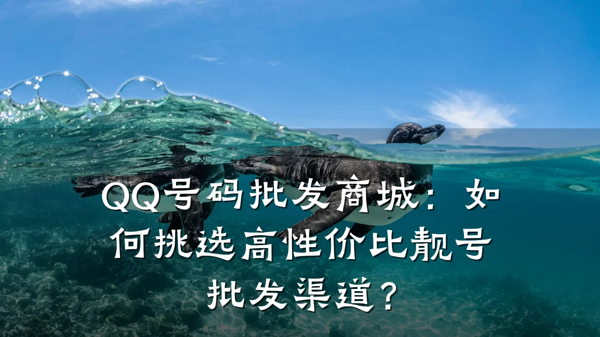 QQ号码批发商城:如何挑选高性价比靓号批发渠道?