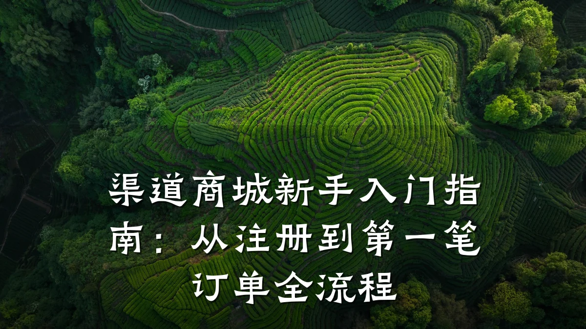 渠道商城新手入门指南:从注册到第一笔订单全流程