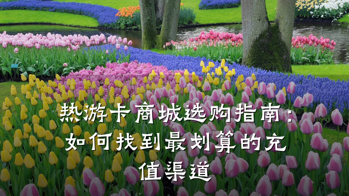 热游卡商城选购指南：如何找到最划算的充值渠道