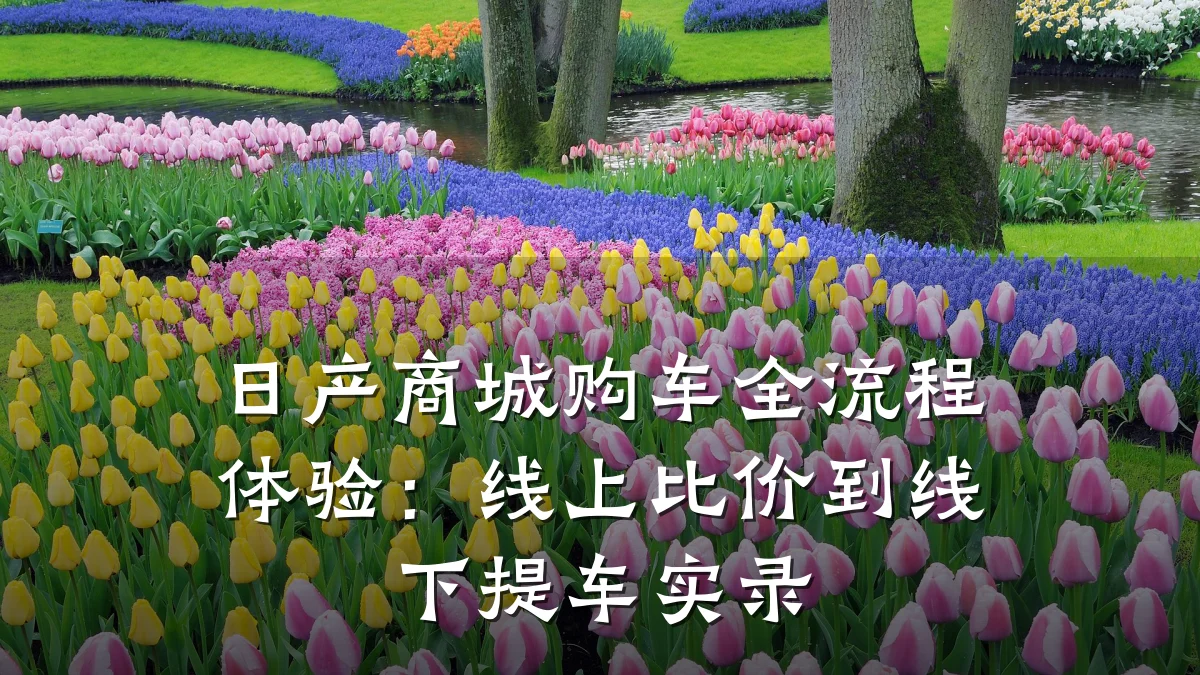 日产商城购车全流程体验:线上比价到线下提车实录