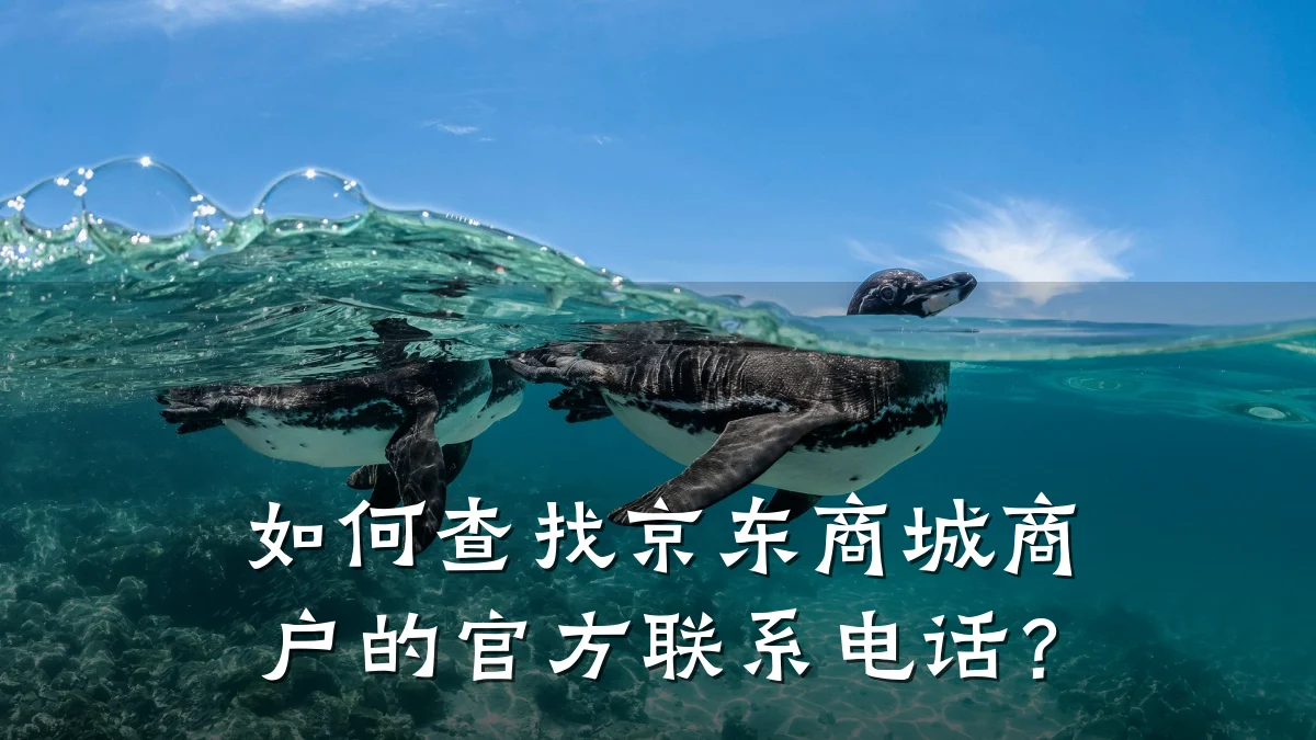 如何查找京东商城商户的官方联系电话?