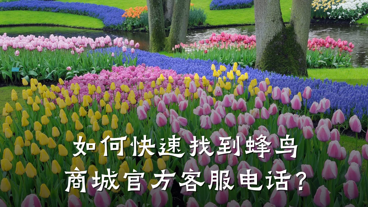 如何快速找到蜂鸟商城官方客服电话?