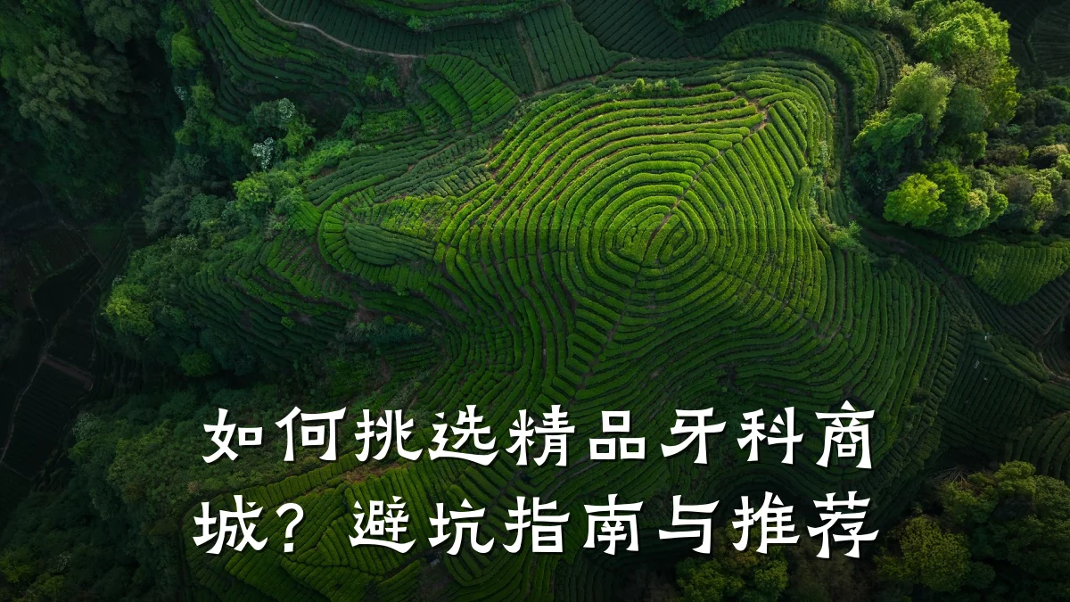 如何挑选精品牙科商城?避坑指南与推荐