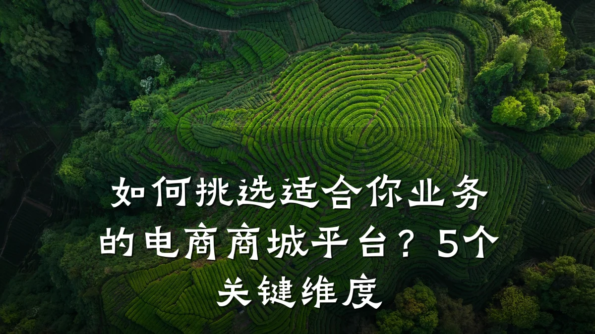 如何挑选适合你业务的电商商城平台？5个关键维度
