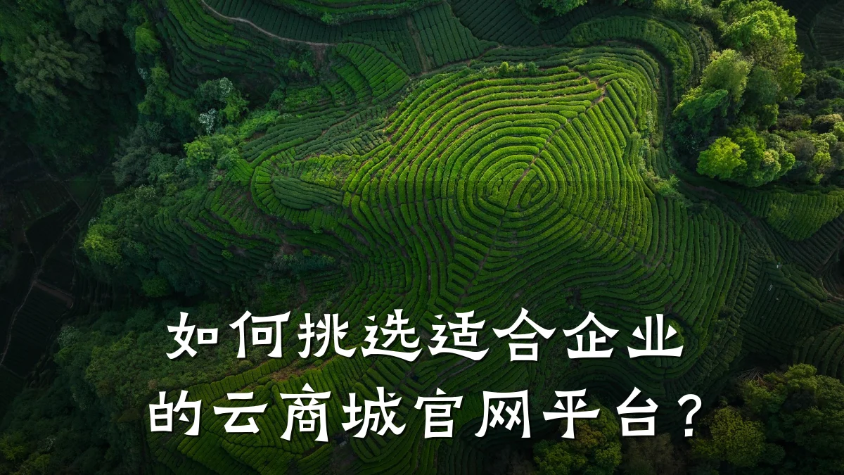 如何挑选适合企业的云商城官网平台?