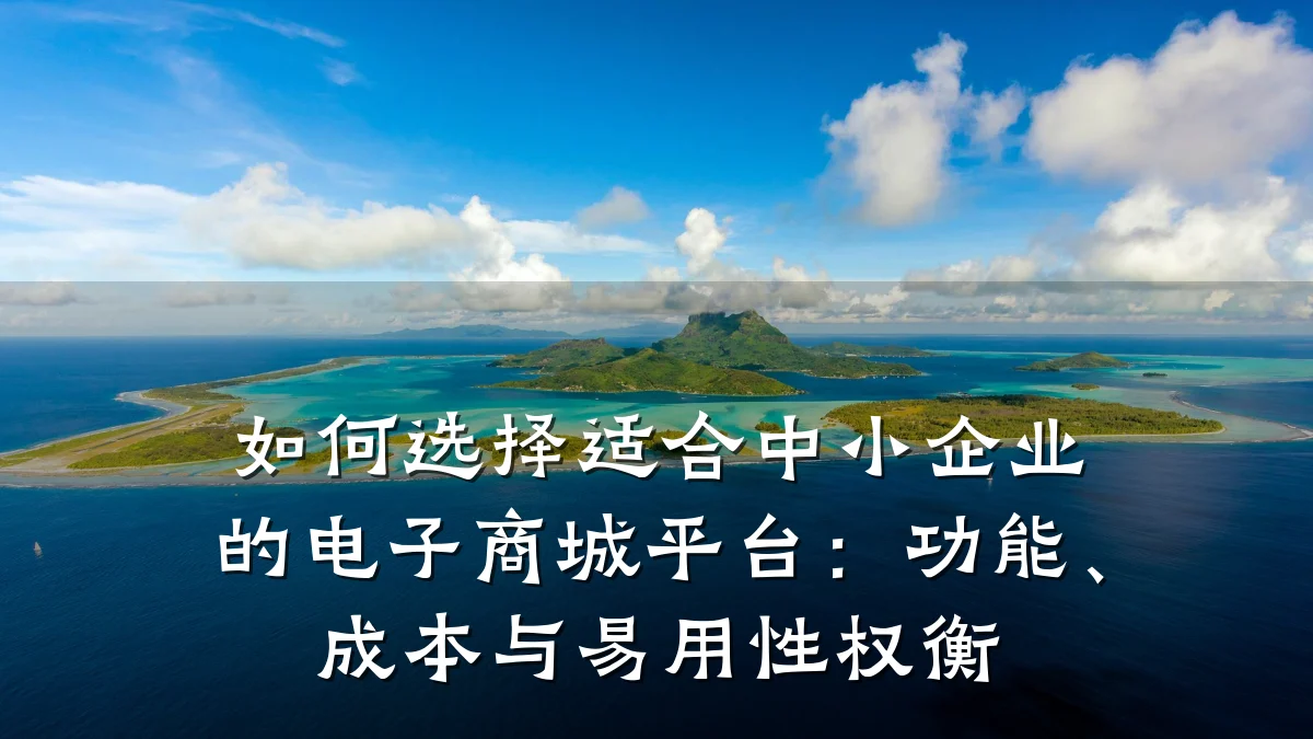 如何选择适合中小企业的电子商城平台:功能、成本与易用性权衡