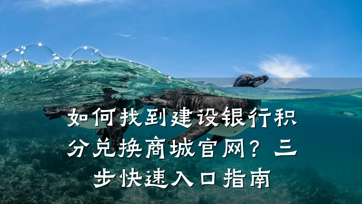 如何找到建设银行积分兑换商城官网？三步快速入口指南