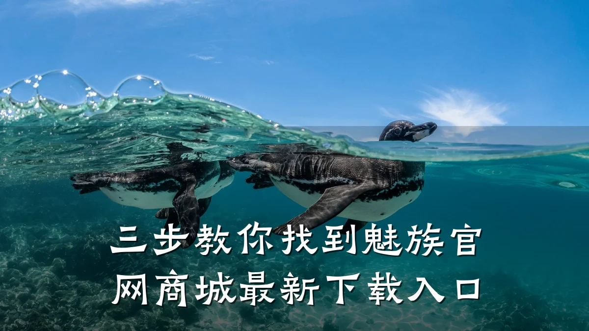 三步教你找到魅族官网商城最新下载入口