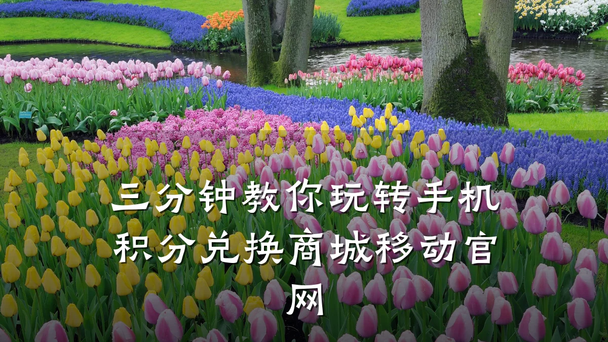 三分钟教你玩转手机积分兑换商城移动官网