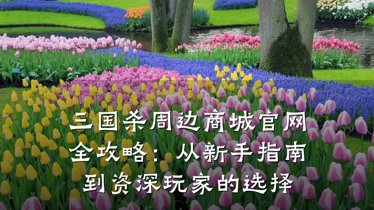 三国杀周边商城官网全攻略：从新手指南到资深玩家的选择