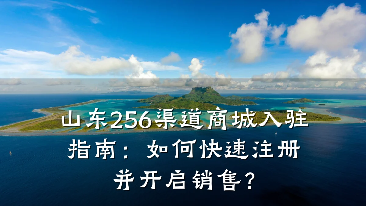 山东256渠道商城入驻指南：如何快速注册并开启销售？