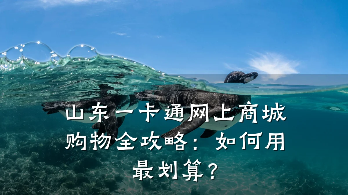 山东一卡通网上商城购物全攻略：如何用最划算？