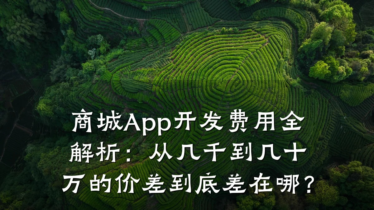 商城App开发费用全解析：从几千到几十万的价差到底差在哪？