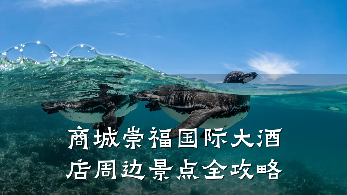商城崇福国际大酒店周边景点全攻略