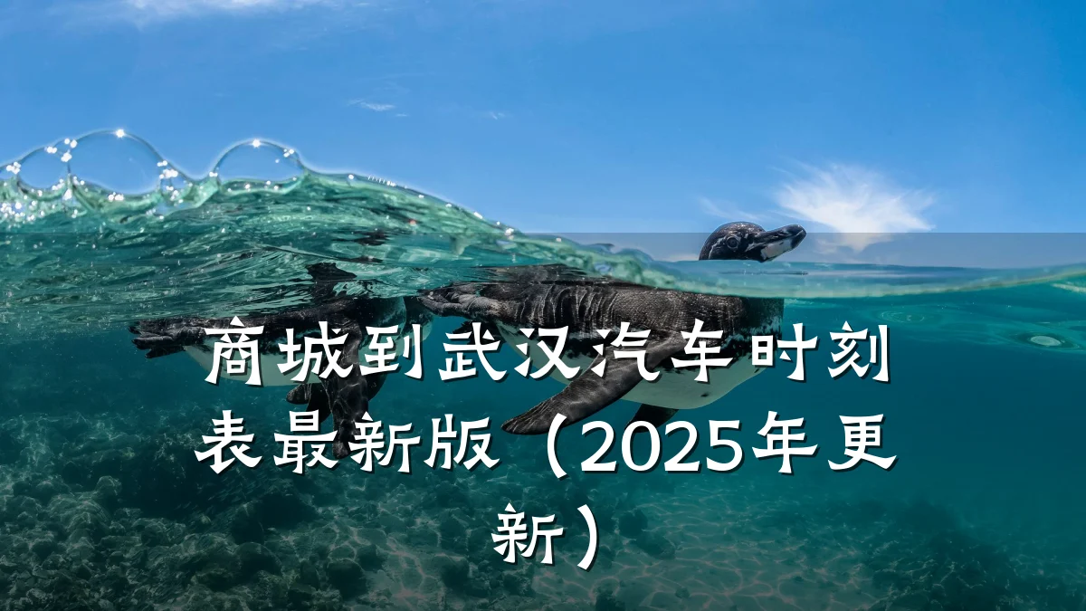 商城到武汉汽车时刻表最新版（2025年更新）