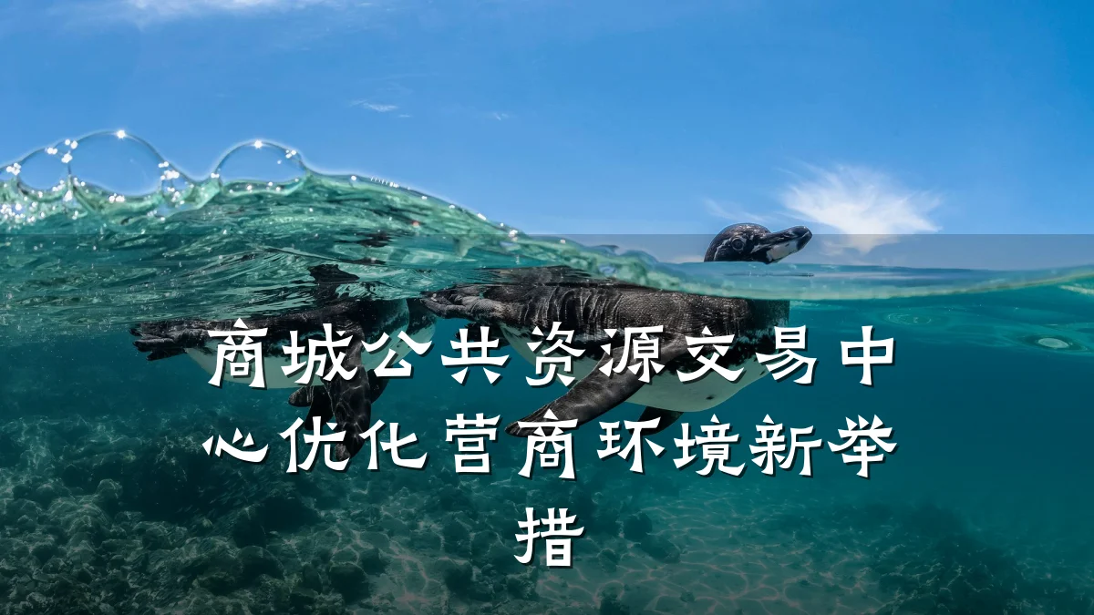 商城公共资源交易中心优化营商环境新举措