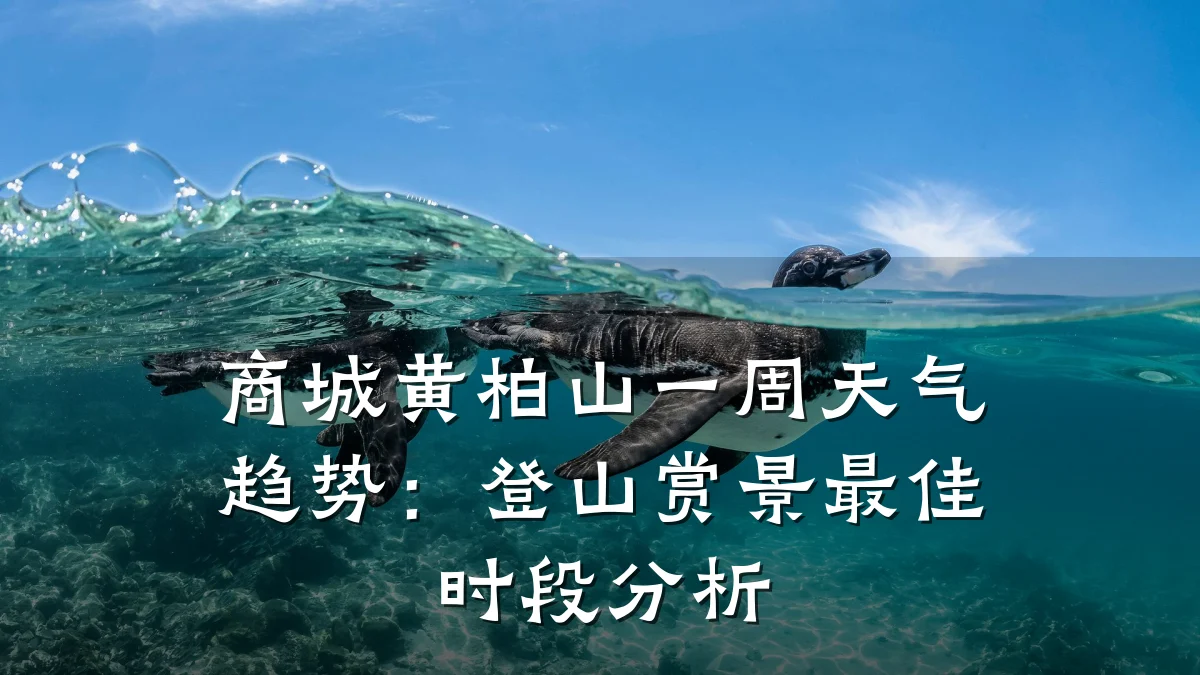 商城黄柏山一周天气趋势:登山赏景最佳时段分析