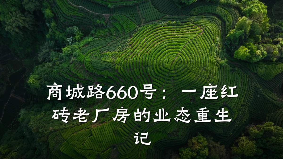 商城路660号:一座红砖老厂房的业态重生记