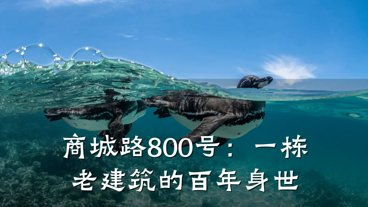 商城路800号:一栋老建筑的百年身世