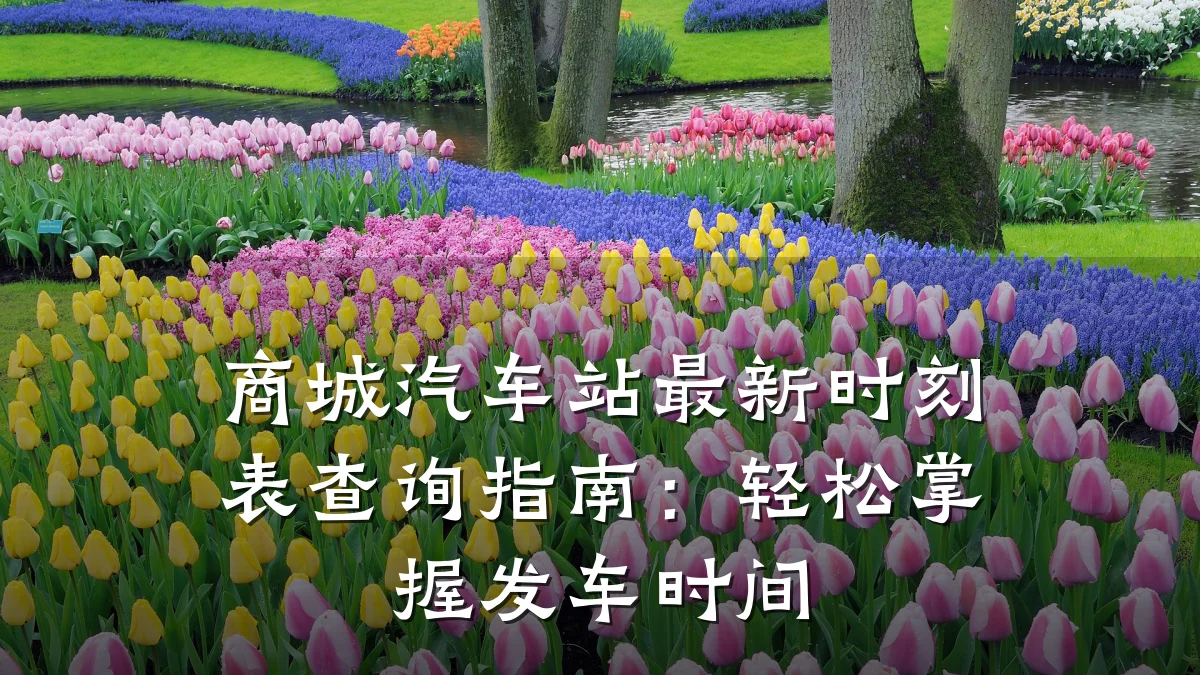 商城汽车站最新时刻表查询指南:轻松掌握发车时间