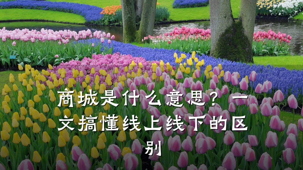 商城是什么意思?一文搞懂线上线下的区别